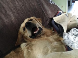 14182159 1163899837016325 150710379 n