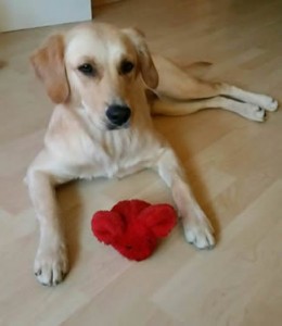 14203132 827254264041589 3485102999098667875 n