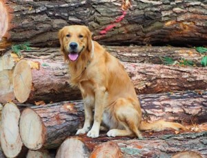 14542711 10207820787582501 681970792 n