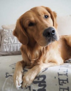 14555700 10207819250184067 1699209137 n