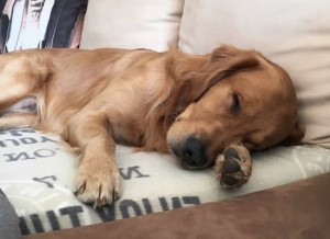 14610740 10207860790862558 46780352 n