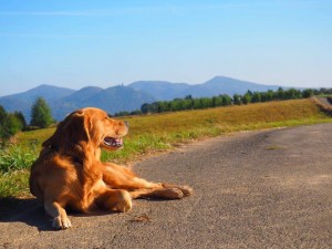 14657430 593961360804711 3210177201457050861 n