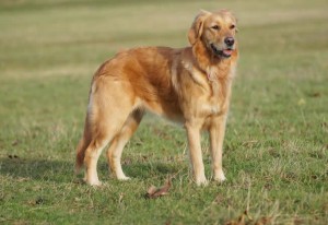 15129081 1202457403122652 7303201189014723418 o