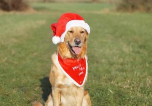 15181415 899088060191542 7284113920113863230 n