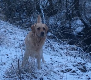 15823505 1328293223910318 3924796255054609033 n