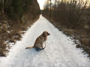 15823553 1337780542961586 4629314982807241532 n