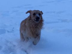 15977908 1350484938357813 7981436258031427859 n