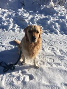 16114287 1355992244473749 7263564723344874779 n