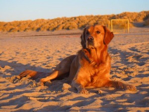 16467233 10208797639163180 755623092 n