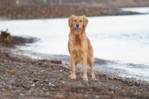 16487676 10155022177296118 1067026663593325084 o