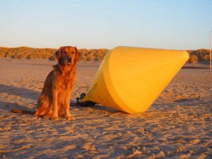 16506956 10208797636523114 375456206 n