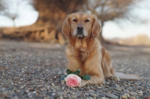 16735245 10155052720321118 17961052 o