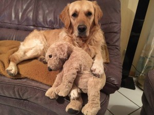 17198587 1408469089226064 1307987916 n