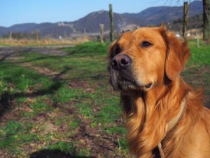 17264246 10209092317489954 1852201470099894022 n