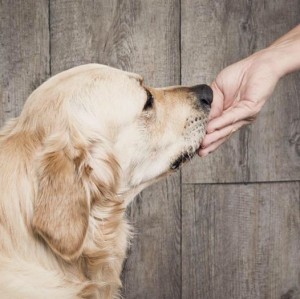 17308961 1428600857212887 8552807975381041147 n