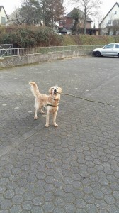 15284892 904544692979212 6108485008879411162 n