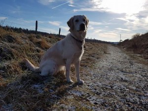 15871776 1769471823078648 5059852059197621024 n