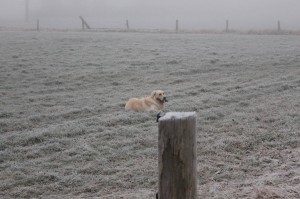 15967274 1218136091604734 1142679172 o