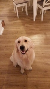 15978965 1218135994938077 235664436 n