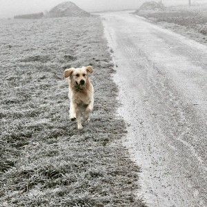 15979109 1218136031604740 1302331857 n