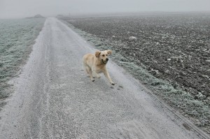 15991551 1218136034938073 332459941 o