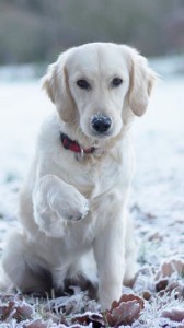 15780627 674229342757569 3398359026826808572 n