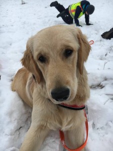 16105807 936087216491626 8877876779462287948 n