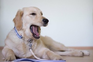 16144955 683750268472143 379701885 o