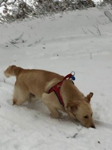 16174631 936087199824961 3623011425444493061 n