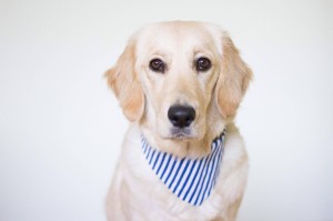 16196599 683750281805475 179037262 o