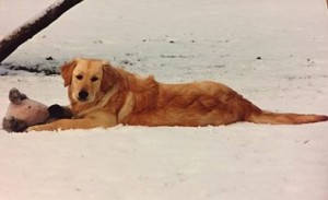 16299033 946885122078502 7094748540745526876 n