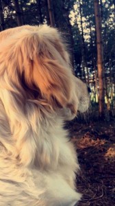 16507758 692949460885557 1368457243 n